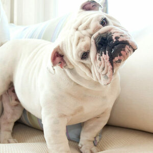 Fundraising Page: Michelle Navarrete